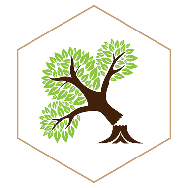 Decoration Logo